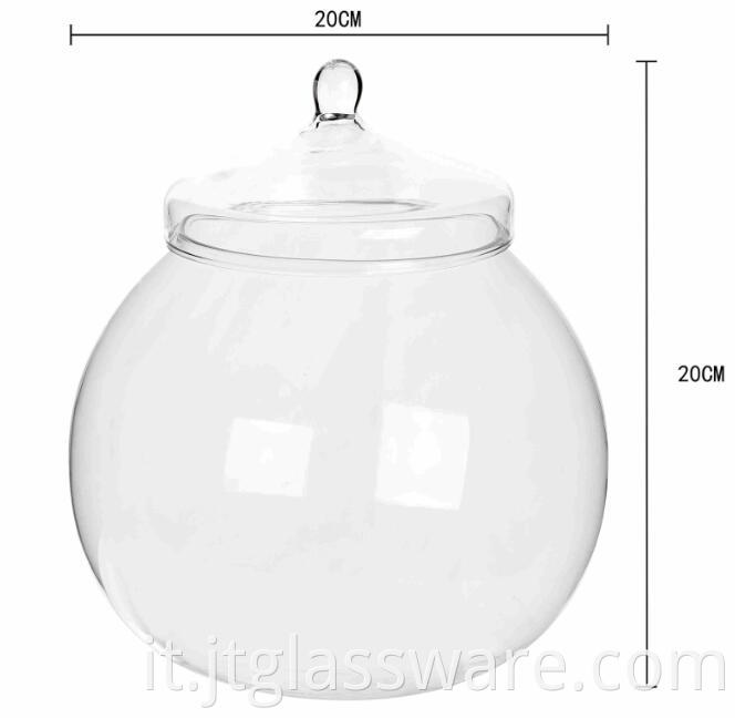 Handblown Glass Terrarium Container Plant Flower Decor 001